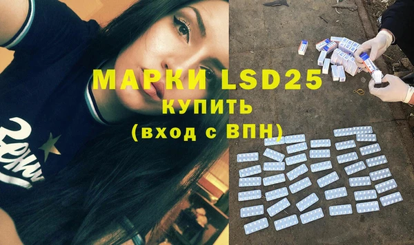 крисы Каменка