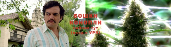 трава Каменногорск
