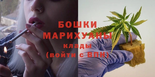 крисы Каменка