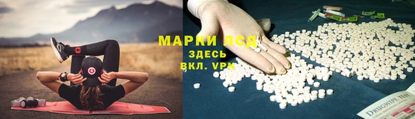 крисы Каменка