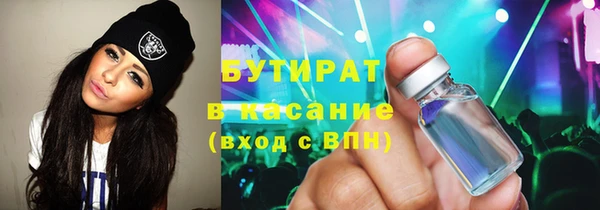 крисы Каменка