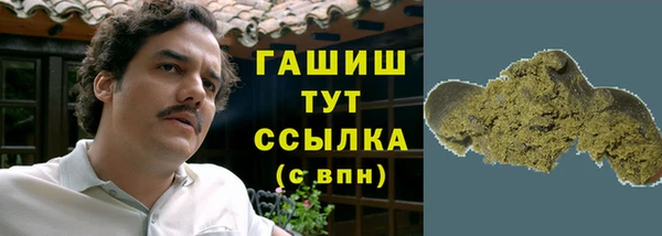 крисы Каменка