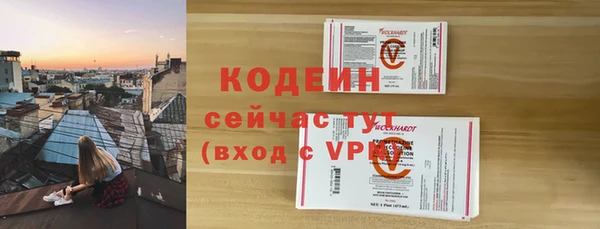 крисы Каменка