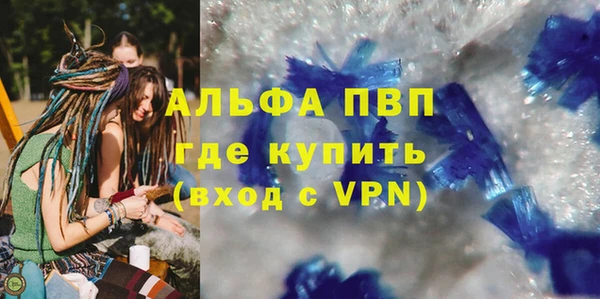 крисы Каменка