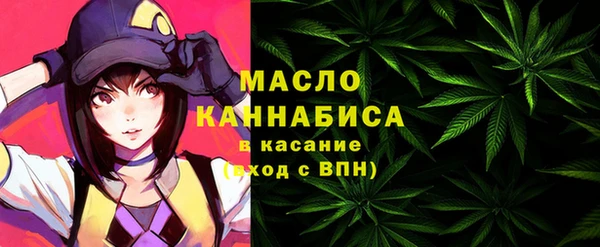 крисы Каменка