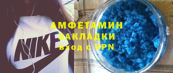 крисы Каменка
