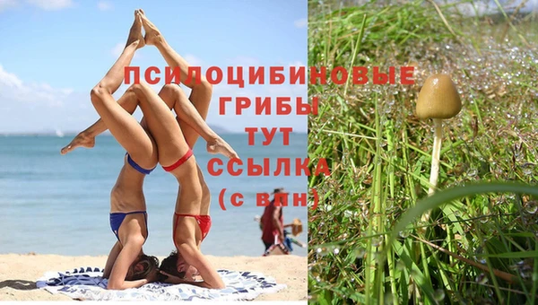 трава Каменногорск