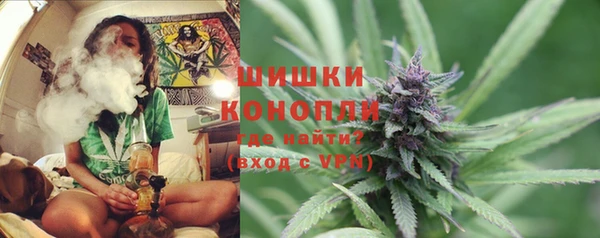 крисы Каменка