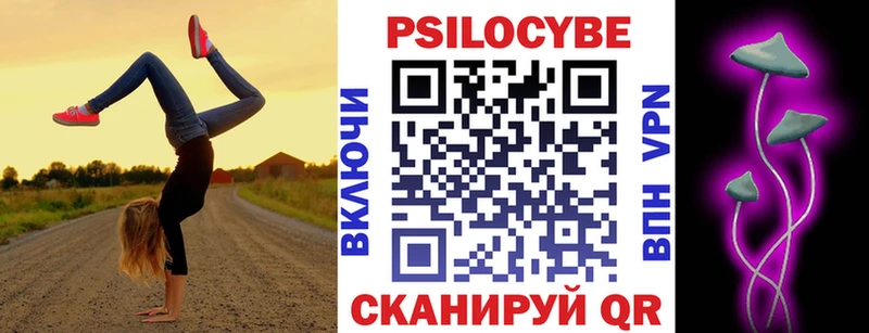 Купить  Клин  Псилоцибиновые грибы Cubensis 